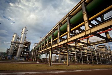 Biosev suspende produção de unidade e tem lucro de R$ 33 mi