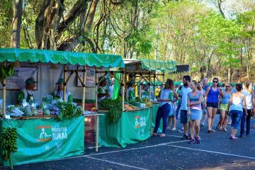 Parque Curupira tem feira de produtos toda quinta-feira