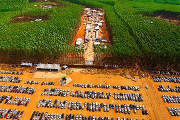 Feira florestal reúne 233 expositores na região de Ribeirão Preto