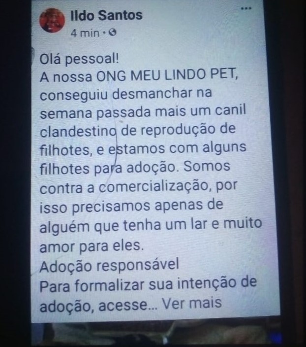 Como recuperar Instagram hackeado? Saiba identificar golpes e o que fazer