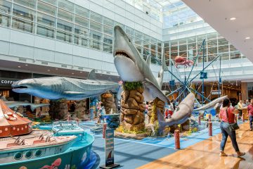 Tubarões no RibeirãoShopping promete animar as férias de crianças e adultos