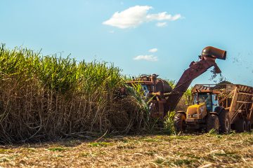 Sertãozinho recebe comitiva das Filipinas para conhecer tecnologias da cana-de-açúcar
