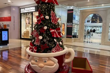 RibeirãoShopping promove ação com Árvores Solidárias de Natal para arrecadar presentes a crianças, idosos e pets