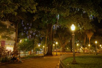 Natal Luz 2024 oferece atrações gratuitas no Centro, Parque Raya e nos bairros até 23 de dezembro