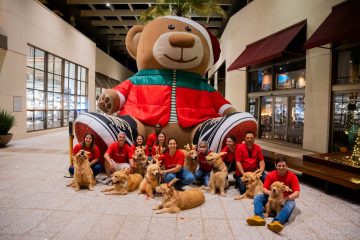 Alerta fofura! Iguatemi Ribeirão Preto realiza encontro de pets com Papai Noel no mês de dezembro