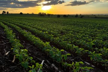 Agrishow inicia vendas de ingressos para a sua 30ª edição