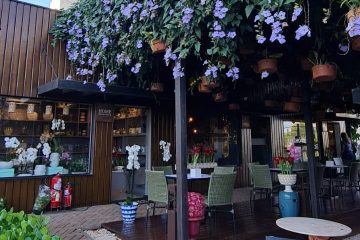 Ribeirão Preto recebe Festival das Orquídeas com entrada gratuita, workshops e flores diretos de Holambra