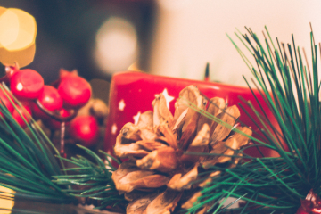 Feirinha do Produtor realiza edição especial de Natal com entrada gratuita em Ribeirão Preto