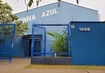 Campanha arrecada brinquedos para a Casinha Azul, que atende cerca de 128 crianças e adolescentes em Ribeirão Preto